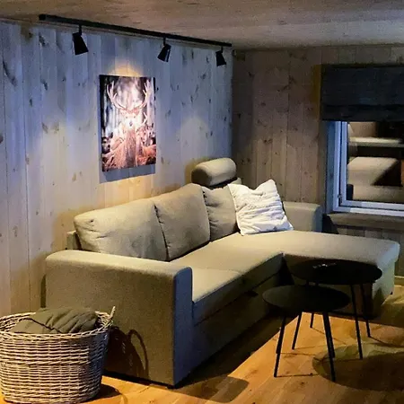 Modern In With Mountain Views Trysil