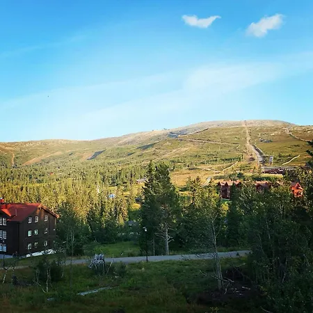 Modern In With Mountain Views Trysil