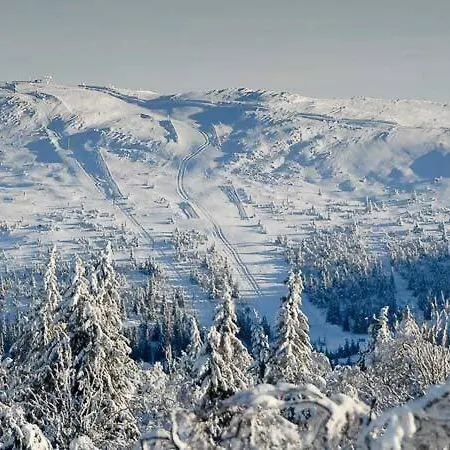 Modern In With Mountain Views Prázdninový dům
